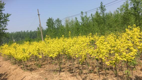 明光市市委书记被多多28企业文化深深感动 | 深入沟通合作空间广阔